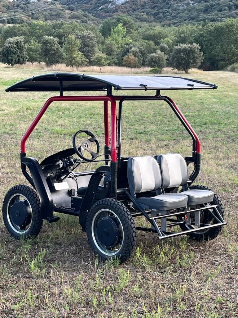 Swinbuggy electric with 4 seats 