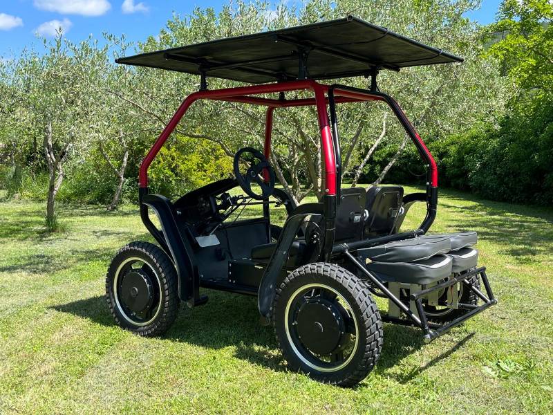 Electric buggy for sale on sale