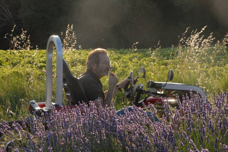 The scent of lavender...  the fields and smell the flowers